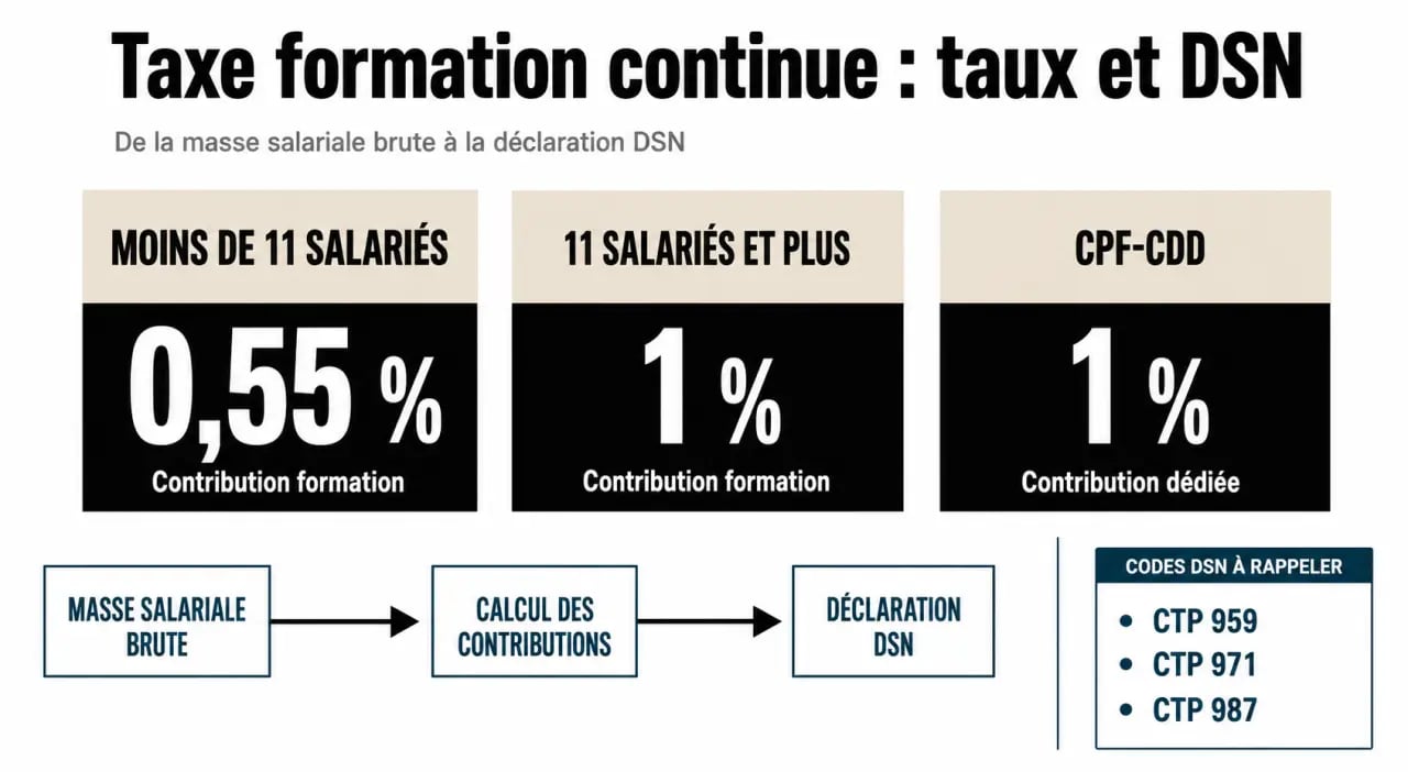 Taxe formation continue : visualisation des taux 0,55 %, 1 % et des codes DSN